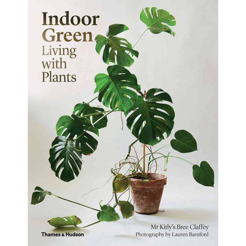 Indoor Green: Living With Plants