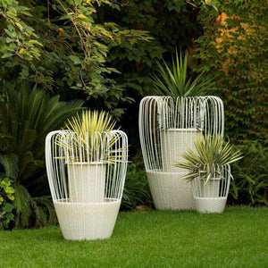 Mist Planter