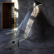 Load image into Gallery viewer, Mantis Floor Lamp